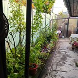 Rahova Bucuresti
